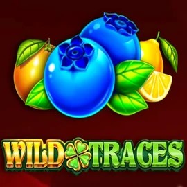 Wild Traces slot logo by Amusnet Interactive at Lizaro Casino